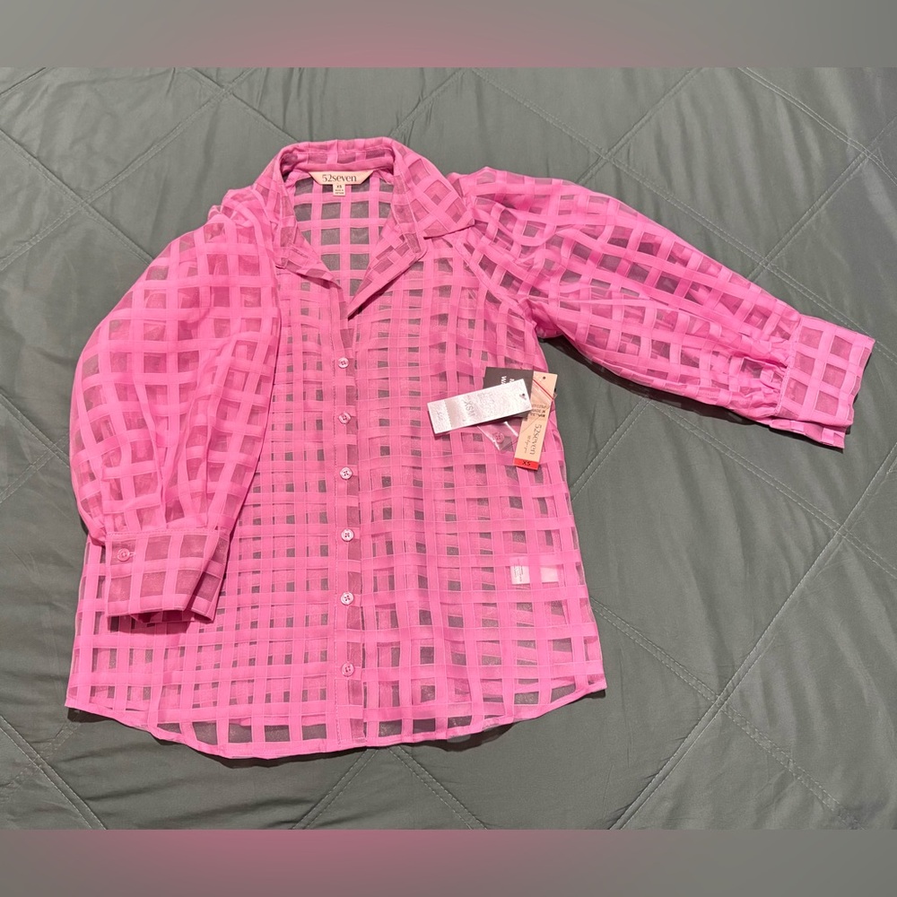 Pink Sheer Blouse